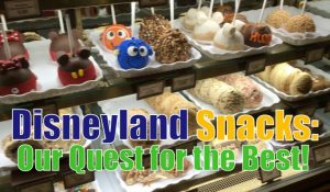 Disneyland Snacks: Our Quest for the Best!