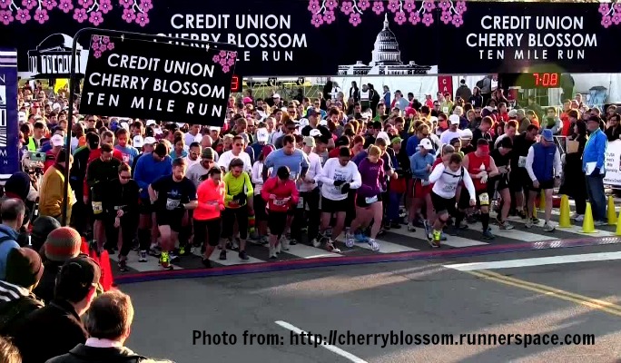 2017 Credit Union Cherry Blossom 10-Miler ... we are in!