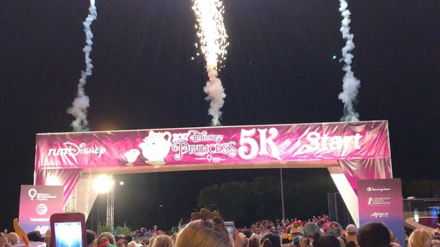 Disney's Princess 5k | 2017 Princess Half Marathon Weekend